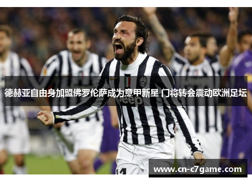 德赫亚自由身加盟佛罗伦萨成为意甲新星 门将转会震动欧洲足坛